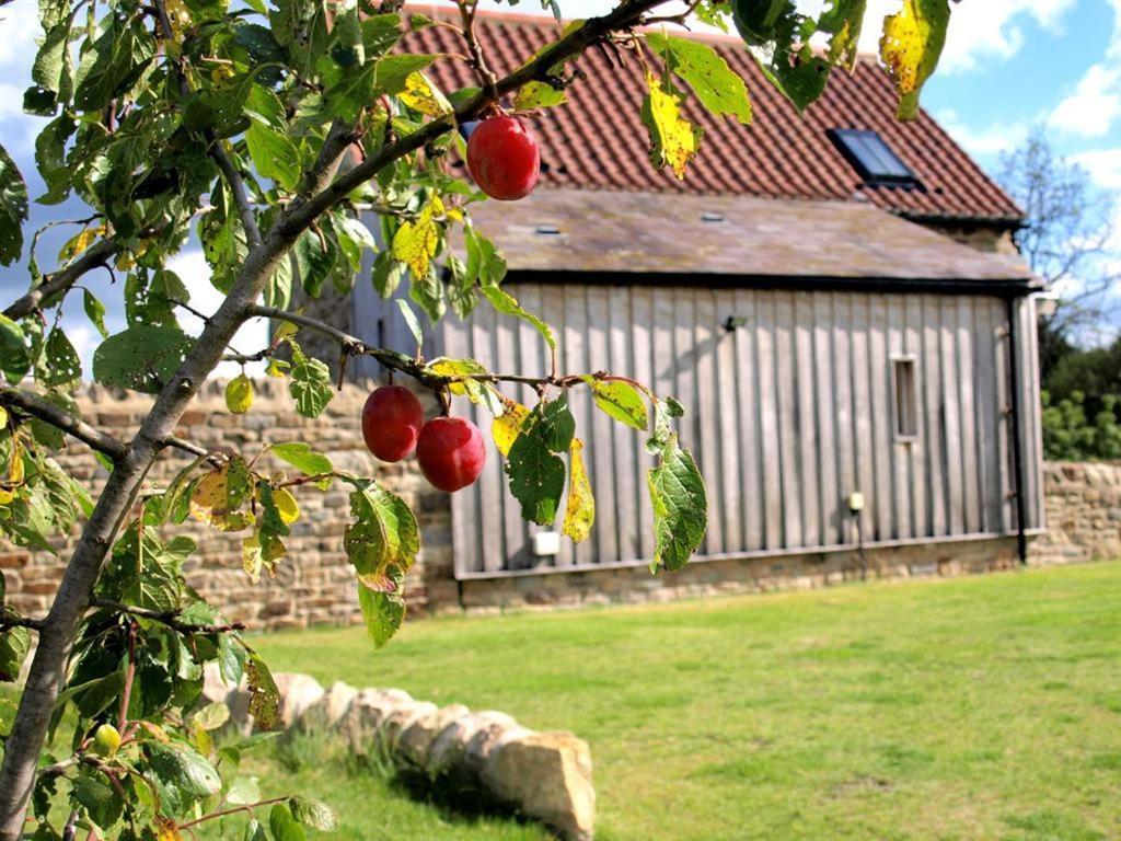 Plum Tree Cottage Witton le Wear Екстер'єр фото